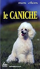 Caniche d'occasion  Livré partout en Belgiqu
