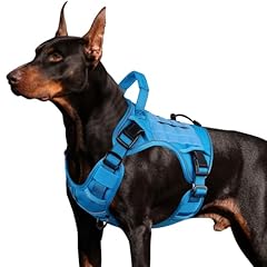 Wingoin blue tactical for sale  Delivered anywhere in USA 