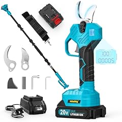 Cordless pole pruning for sale  Delivered anywhere in USA 