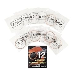 12pcs folk guitar usato  Spedito ovunque in Italia 
