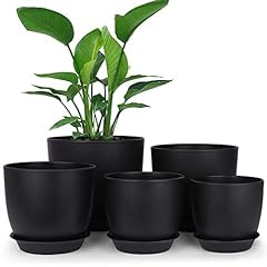 Homenote plastic planter for sale  Delivered anywhere in USA 