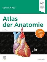 Atlas anatomie deutsche gebraucht kaufen  Wird an jeden Ort in Deutschland