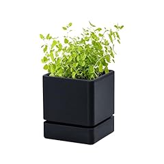 Inch herb planter for sale  Delivered anywhere in USA 