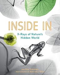 Inside rays nature gebraucht kaufen  Wird an jeden Ort in Deutschland
