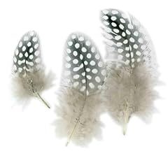 Plumes oiseaux camaïeu d'occasion  Livré partout en France