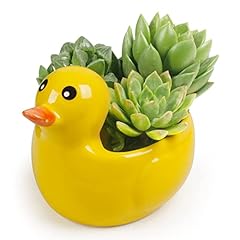 Mumutie ceramic duck for sale  Delivered anywhere in USA 