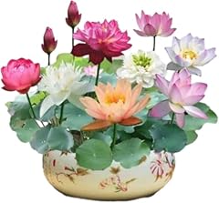 Sacred bonsai bowl for sale  Delivered anywhere in UK