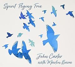 Spirit flying free for sale  Delivered anywhere in USA 