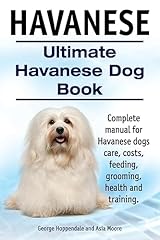 Havanese. ultimate havanese for sale  Delivered anywhere in UK