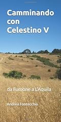 Camminando con celestino usato  Spedito ovunque in Italia 
