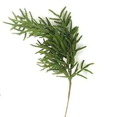Norfolk pine branch for sale  Delivered anywhere in USA 