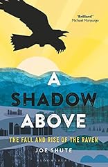 Shadow fall rise for sale  Delivered anywhere in UK