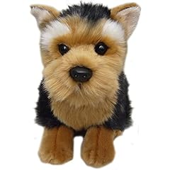 Yorkshire terrier for sale  Delivered anywhere in UK