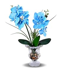 Alyphyly bonsai fiori usato  Spedito ovunque in Italia 