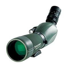 Celestron regal cannocchiale usato  Spedito ovunque in Italia 