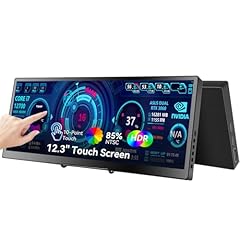 12.3 monitor portatile usato  Spedito ovunque in Italia 