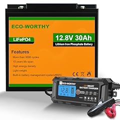 Eco worthy 12v for sale  Delivered anywhere in Ireland