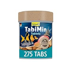 Tetra tabimin fish for sale  Delivered anywhere in UK