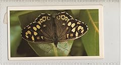 Sa1 speckled wood for sale  Delivered anywhere in UK