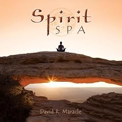 Spirit spa d'occasion  Livré partout en Belgiqu