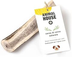 Animal house corna usato  Spedito ovunque in Italia 