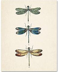 Dragonflies art picture for sale  Delivered anywhere in USA 