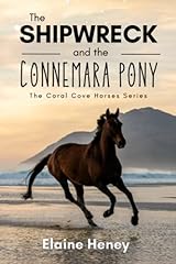 Shipwreck connemara pony for sale  Delivered anywhere in USA 