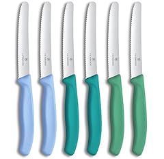 Victorinox swiss classic d'occasion  Livré partout en France