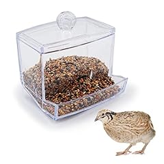 Button quail transparent for sale  Delivered anywhere in USA 