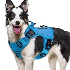Wingoin blue tactical for sale  Delivered anywhere in USA 
