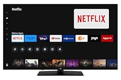 Jvc qled fernseher gebraucht kaufen  Wird an jeden Ort in Deutschland