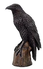 Black raven bird for sale  Delivered anywhere in USA 