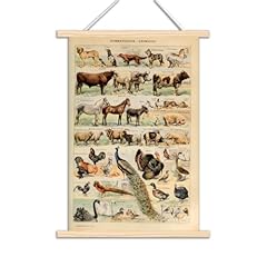 Vintage poster illustratives gebraucht kaufen  Wird an jeden Ort in Deutschland