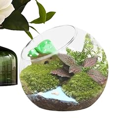 Terrarium barril terraire d'occasion  Livré partout en France