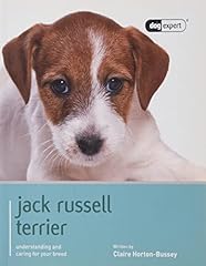 Jack russell d'occasion  Livré partout en Belgiqu