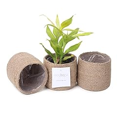 Eco living jute for sale  Delivered anywhere in USA 