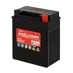 Fiamm batteria per usato  Spedito ovunque in Italia 