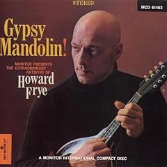 Gypsy mandolin the usato  Spedito ovunque in Italia 