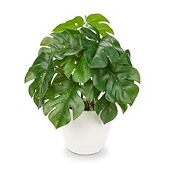 Gnflus fake plants for sale  Delivered anywhere in USA 