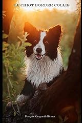 Chiot border collie d'occasion  Livré partout en France