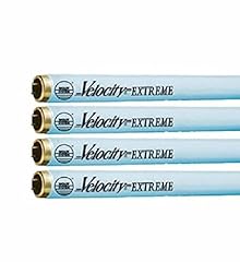 Wolff velocity extreme for sale  Delivered anywhere in USA 