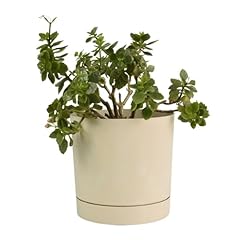 B2c plant pots for sale  Delivered anywhere in UK