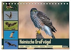 Heimische greifvögel adler gebraucht kaufen  Wird an jeden Ort in Deutschland