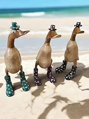 Kinaree canard bois d'occasion  Livré partout en Belgiqu