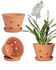 Vensovo terracotta orchid for sale  Delivered anywhere in USA 