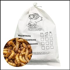 Livefoods4u live mealworm for sale  Delivered anywhere in UK