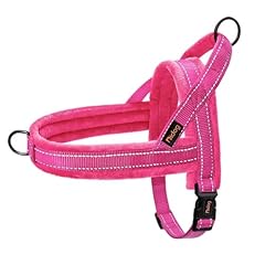 Didog soft flannel for sale  Delivered anywhere in USA 