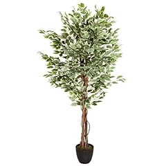 Hjh office plante d'occasion  Livré partout en Belgiqu