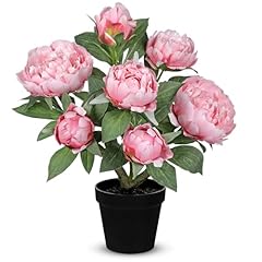 Hollyone pink fake for sale  Delivered anywhere in USA 