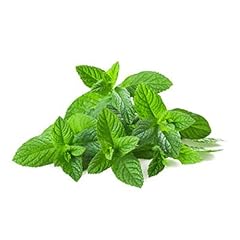 Menthe botte 10g d'occasion  Livré partout en France